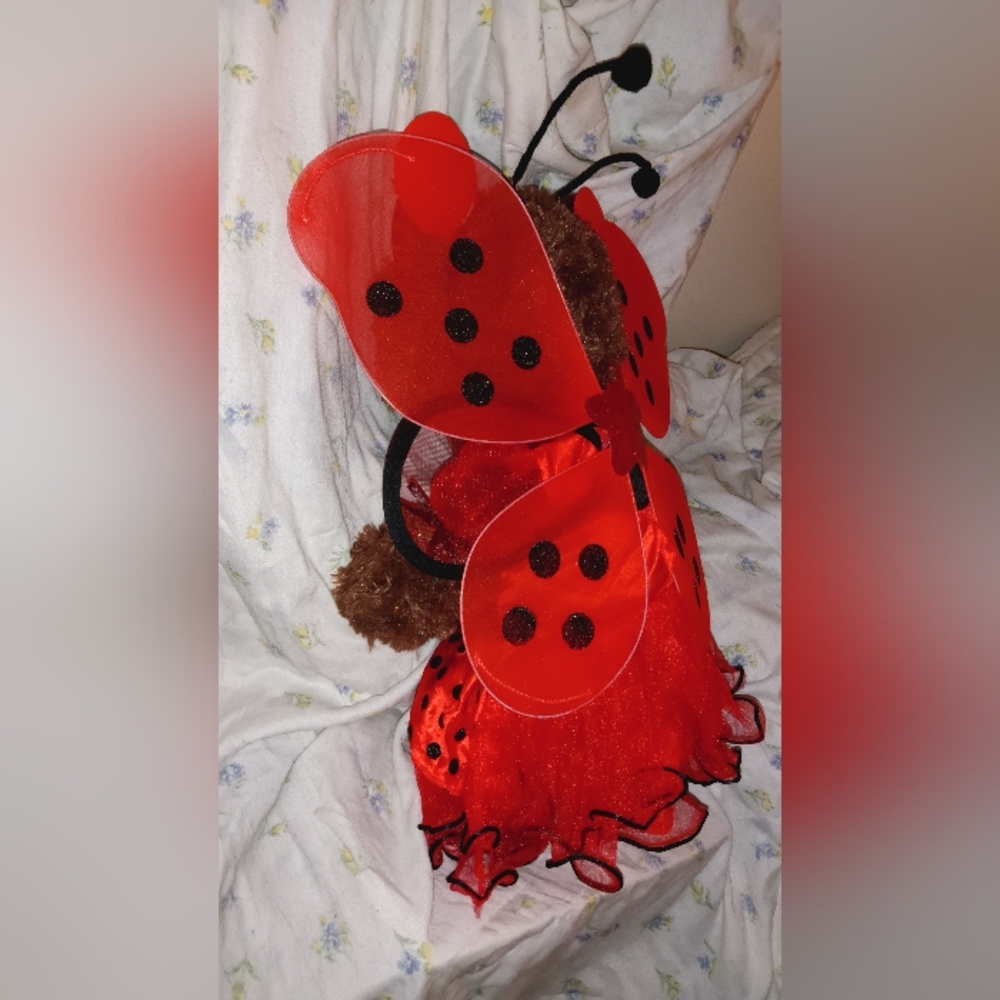Fancy Ladybug - Picture 2 of 9